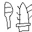 絵しりとり100　問55